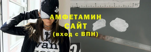 СК Алексин