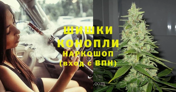PSILOCYBIN Арсеньев