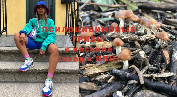 PSILOCYBIN Арсеньев